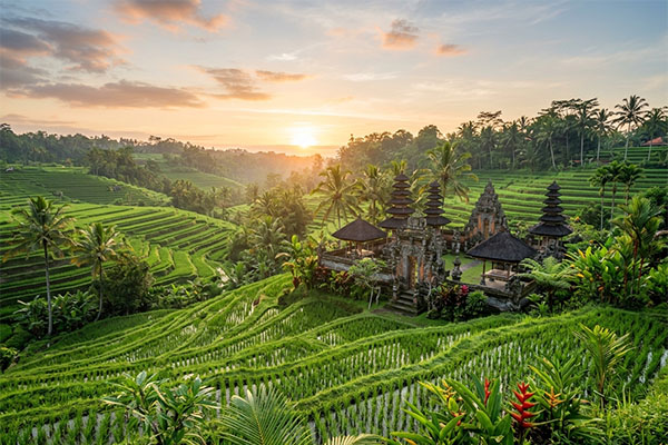 Bali